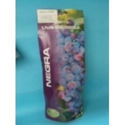 Parras de mesa, variedad Michelli Paliei Buen tamaño, es una uva violácea oscura, muy vigorosa y productiva.