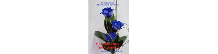  Tu floristería en Plasencia viveros Sor Valentina, díselo con flores,  vamos  a las poblaciones del norte de Extremadura.