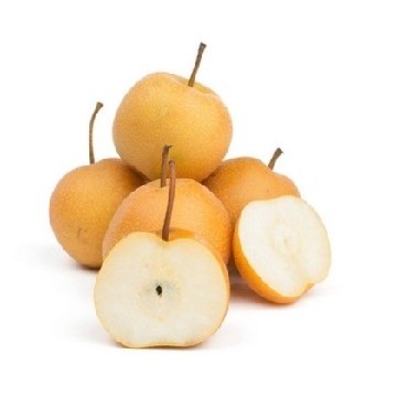 Envio de Árbol frutal nashi en maceta, con sabor a pera y manzana