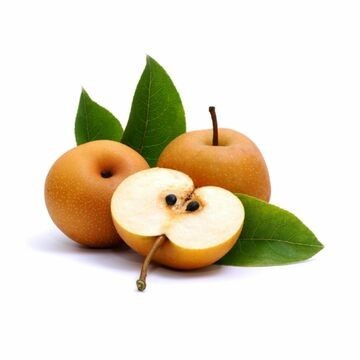 Árbol frutal nashi en maceta, con sabor a pera y manzana