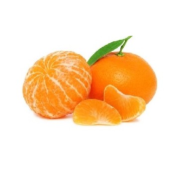 Venta de mandarinos y clementinos de distinta epoca de recoleccion. Puedes cosechar tus mandarinas desde septiembre a mayo. Contamos con un gran catalogo de citricos mandarinos o clementinos satsuma, clemendule